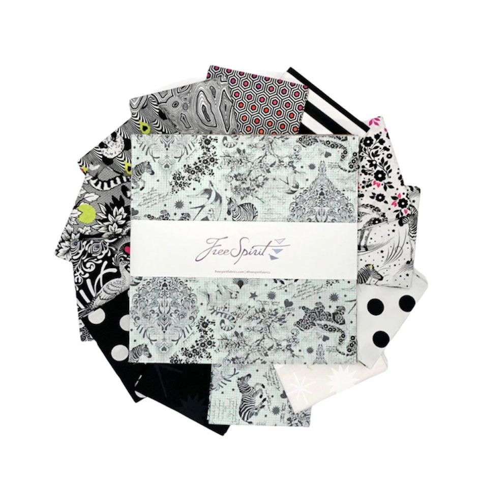 Line Work by Tula Pink 10” squares
