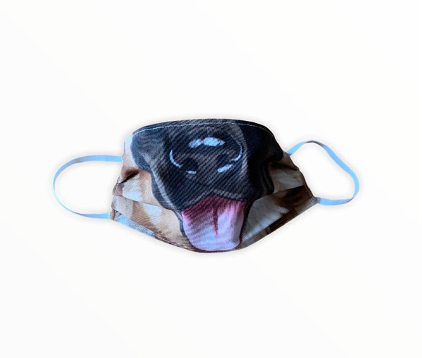 Face Mask Fabric Panel